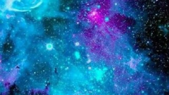 Meet your Posher, Caitlin - Picture 1 of 1